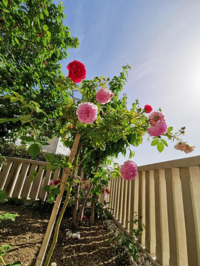 Villa Ruza 30M From The Beach 바스카보다 외부 사진